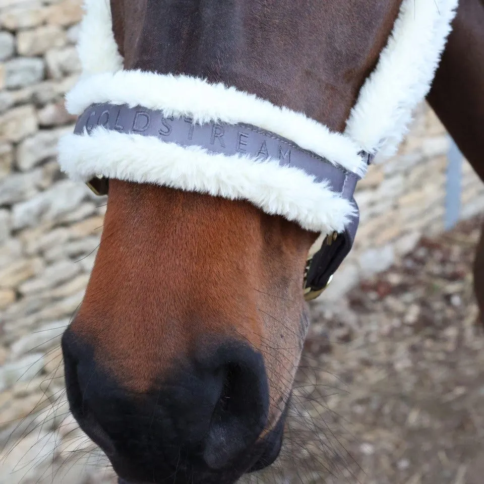 Coldstream Langlee Luxury Head Collar & Lead Rope