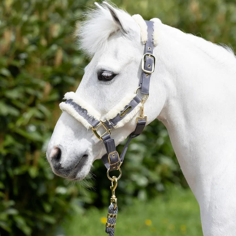 Coldstream Langlee Luxury Head Collar & Lead Rope