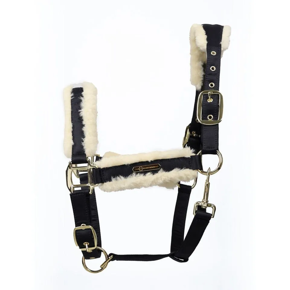 Coldstream Langlee Luxury Head Collar & Lead Rope