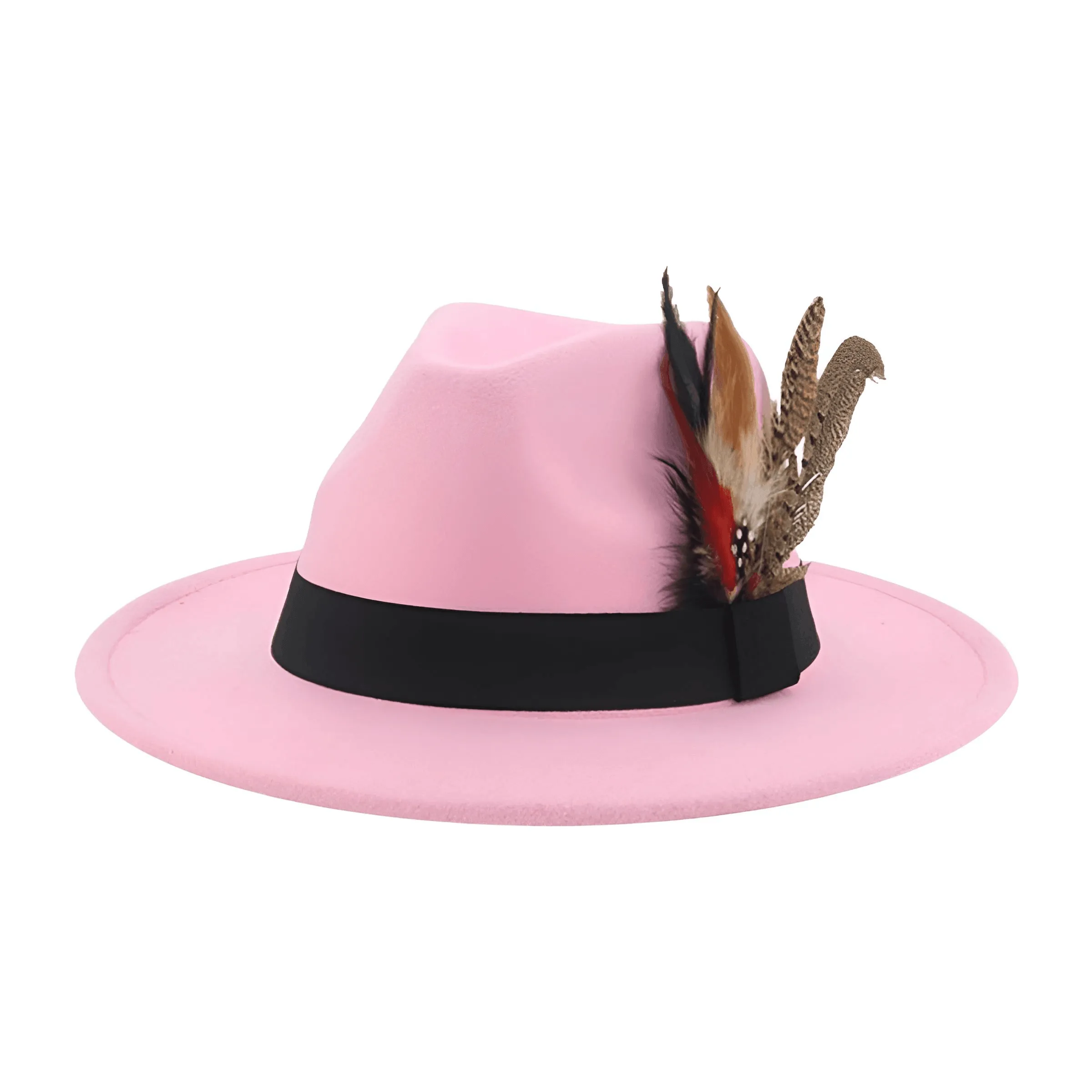 Fedora With Feather Band Detailing For Men & Women