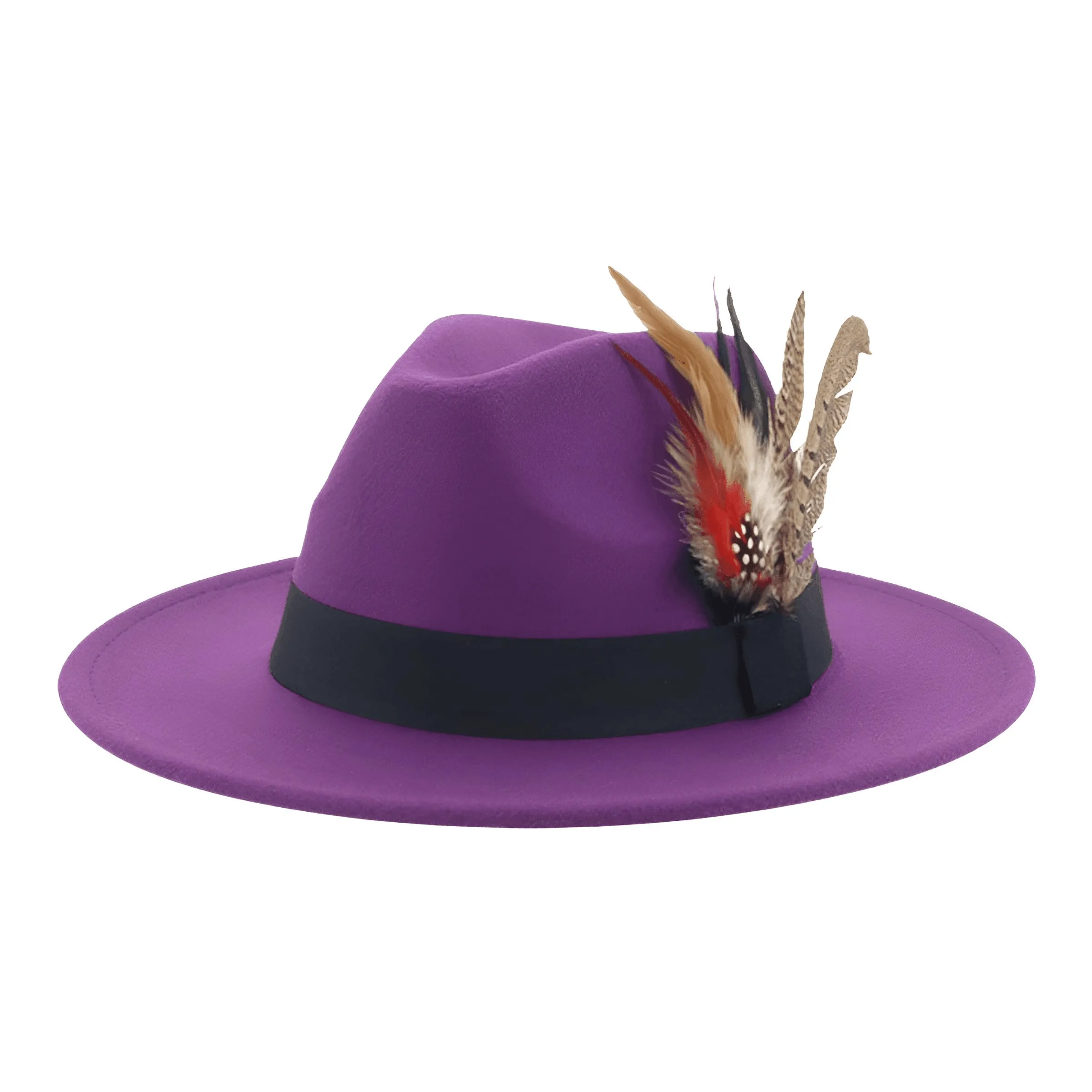 Fedora With Feather Band Detailing For Men & Women