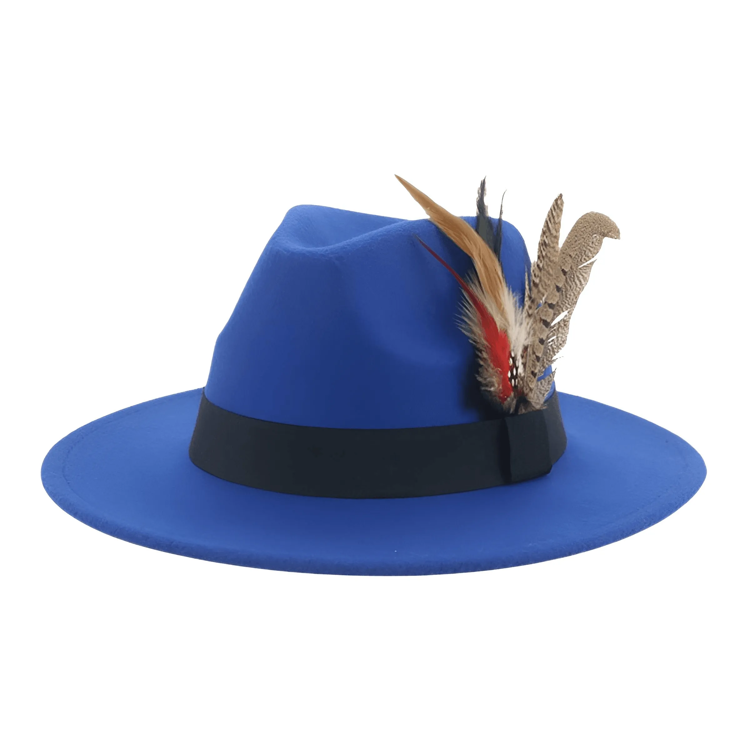 Fedora With Feather Band Detailing For Men & Women