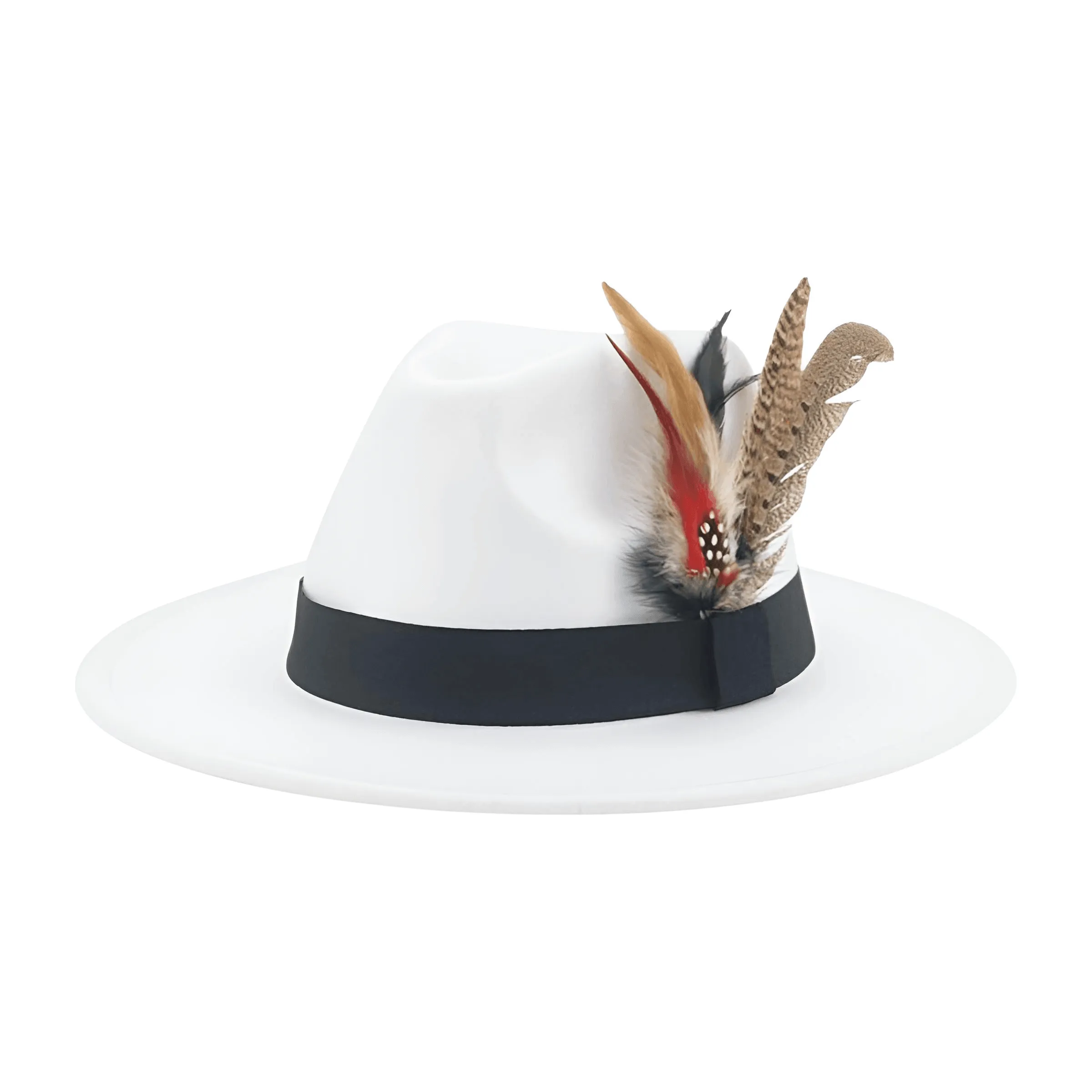 Fedora With Feather Band Detailing For Men & Women