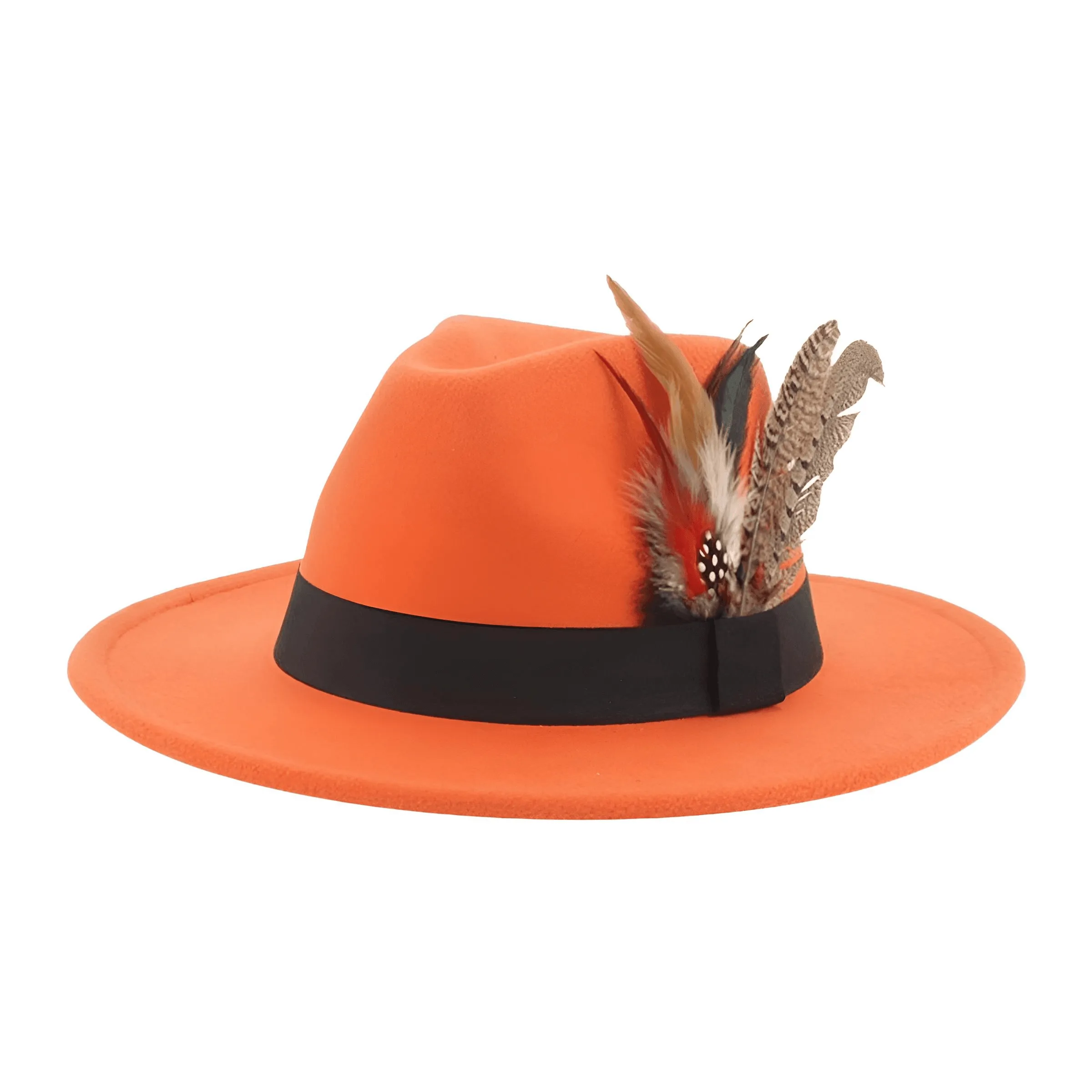 Fedora With Feather Band Detailing For Men & Women