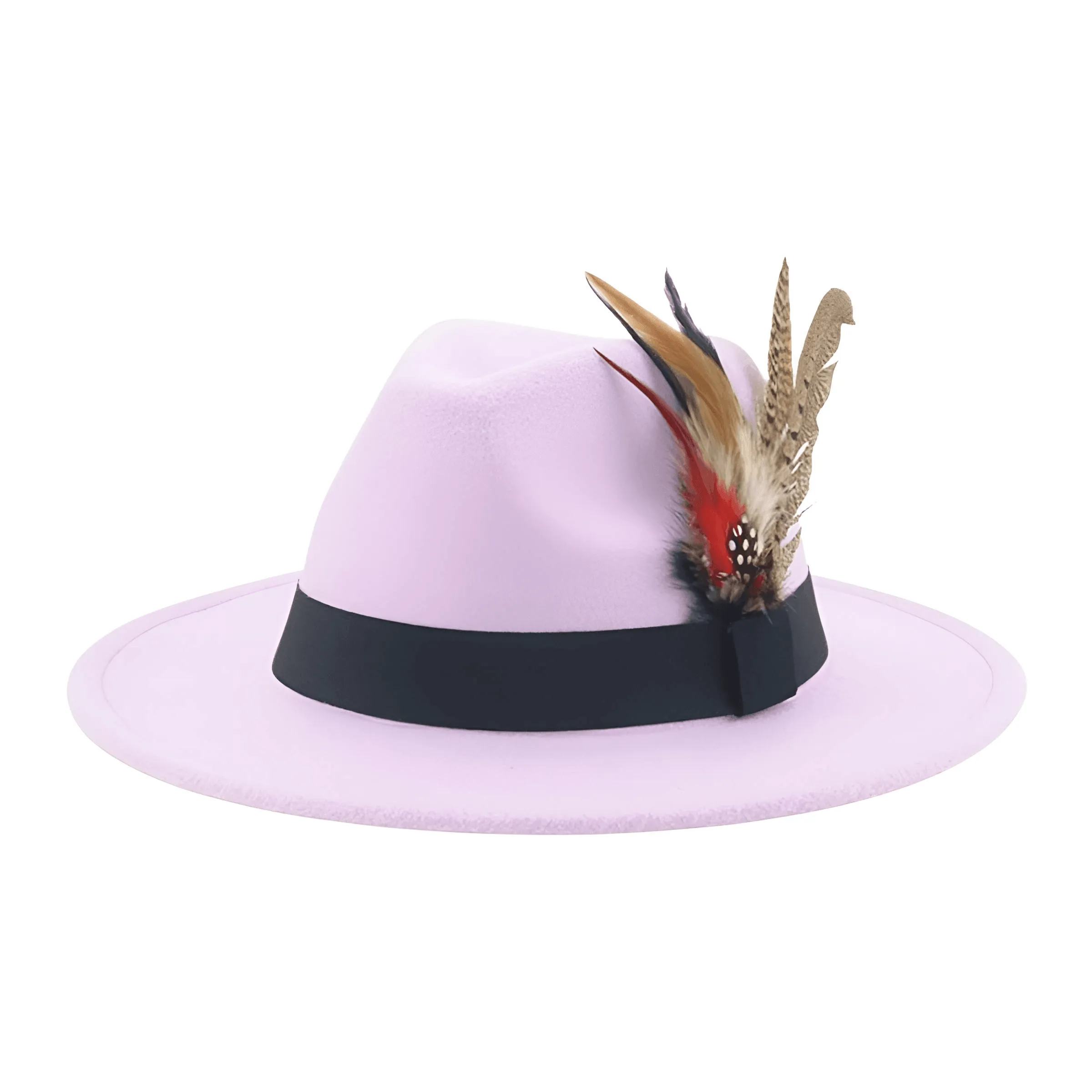 Fedora With Feather Band Detailing For Men & Women