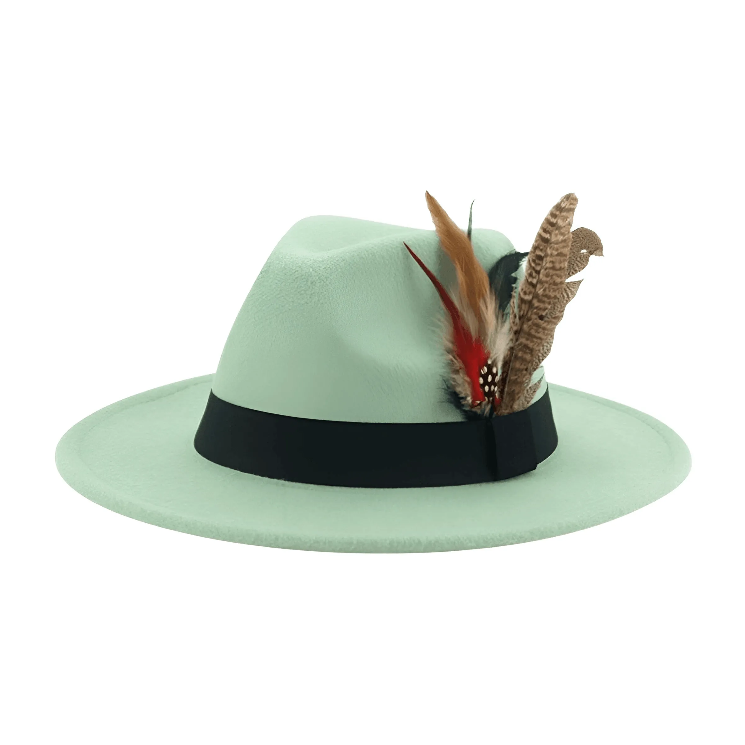 Fedora With Feather Band Detailing For Men & Women