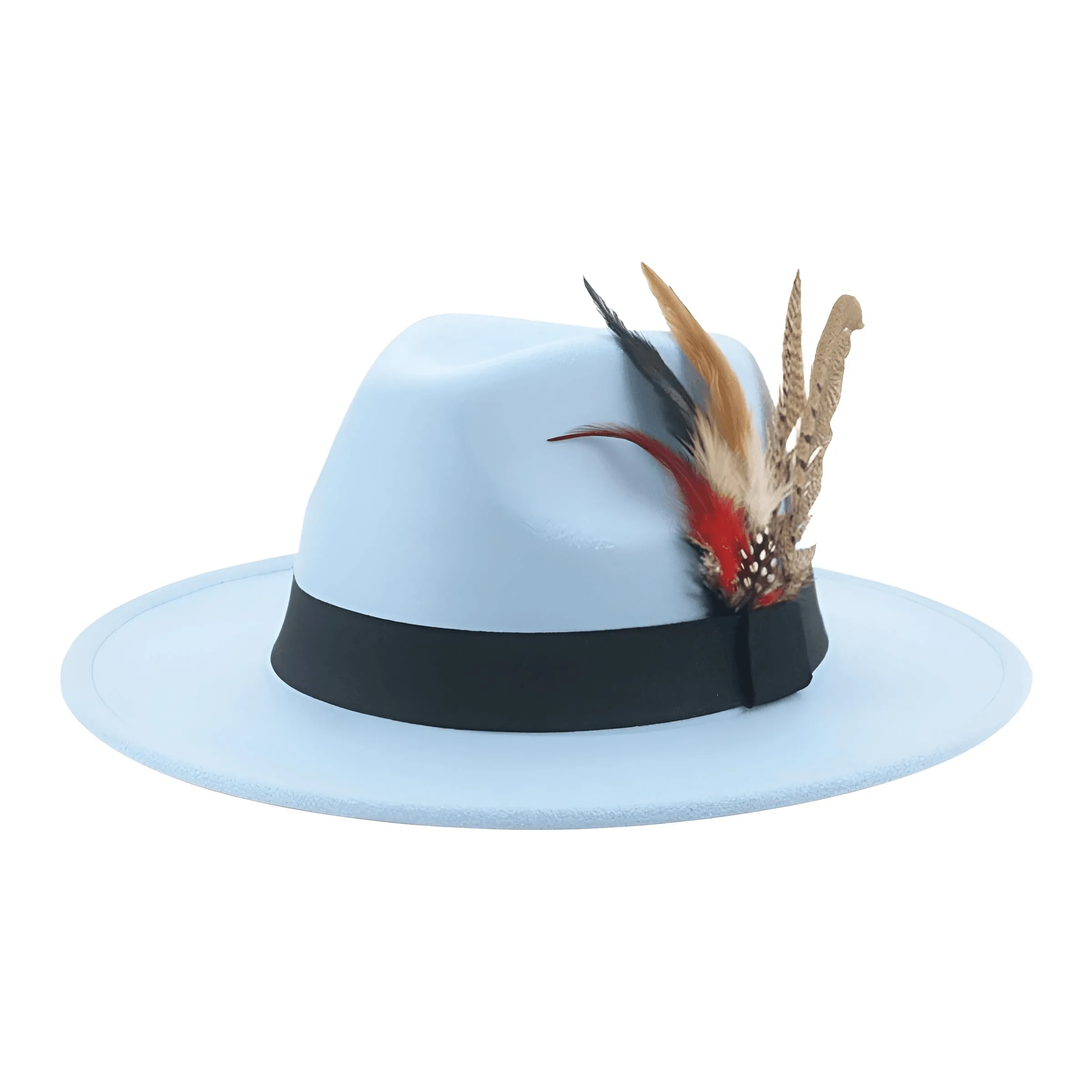 Fedora With Feather Band Detailing For Men & Women