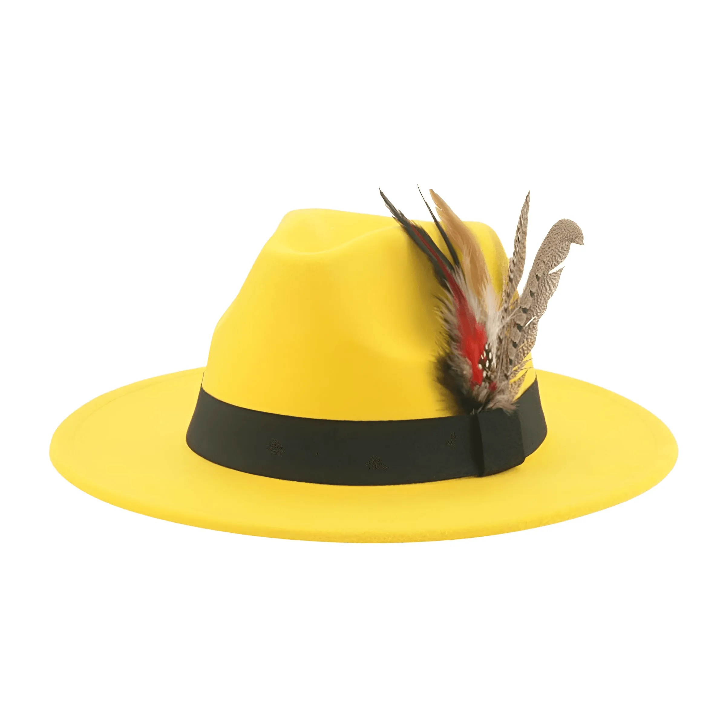 Fedora With Feather Band Detailing For Men & Women